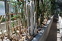 Orto Botanico_190